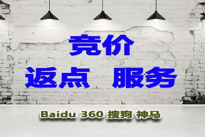 行业趋势下的SEM竞价代运营策略及成功实例